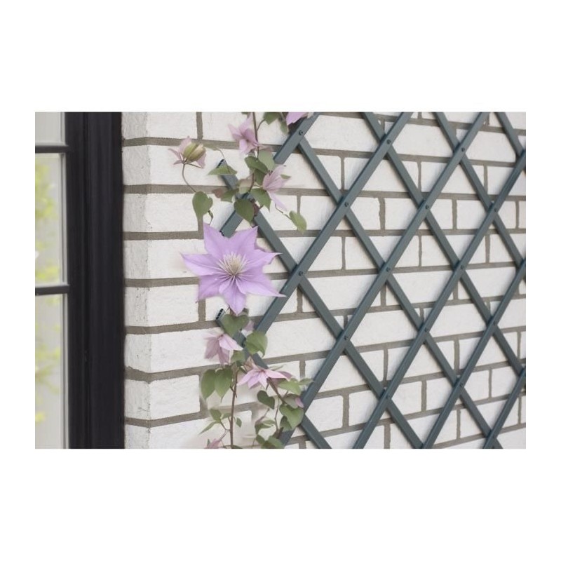 Treillis extensible - NATURE - En plastique Anthracite - 50 x 150 cm