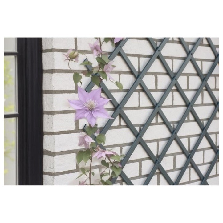 Treillis extensible - NATURE - En plastique Anthracite - 50 x 150 cm Treillis extensible - NATURE - En plastique Anthracite - 50 x 150 cm