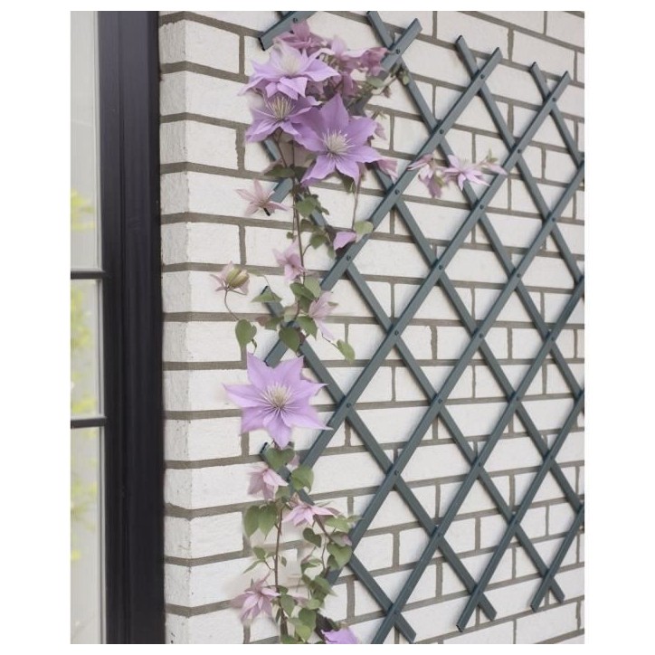Treillis extensible - NATURE - En plastique Anthracite - 50 x 150 cm Treillis extensible - NATURE - En plastique Anthracite - 50 x 150 cm
