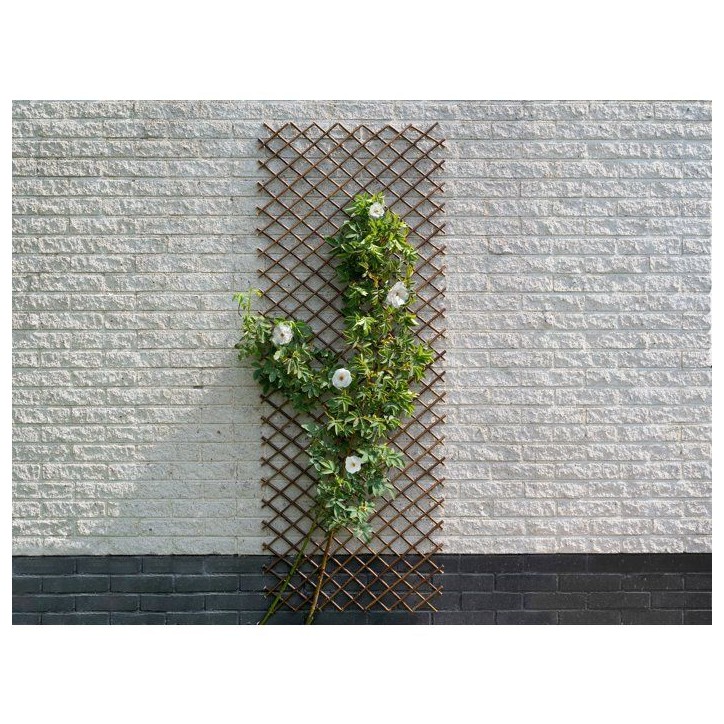 Nature Treillis de jardin 30x180 cm saule naturel marron 446397 Nature Treillis de jardin 30x180 cm saule naturel marron 446397