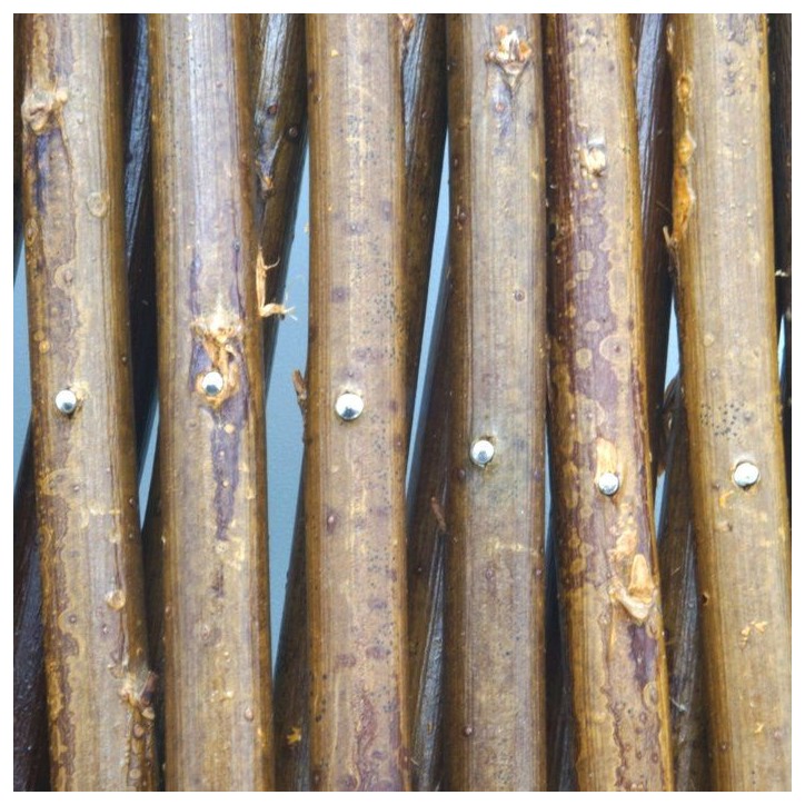 Nature Treillis de jardin 30x180 cm saule naturel marron 446397 Nature Treillis de jardin 30x180 cm saule naturel marron 446397