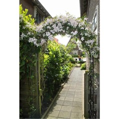 Pergola arche en acier en métal - NATURE - 113x38xH229cm - Noir