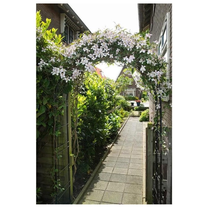 Pergola arche en acier en métal - NATURE - 113x38xH229cm - Noir Pergola arche en acier en métal - NATURE - 113x38xH229cm - Noir