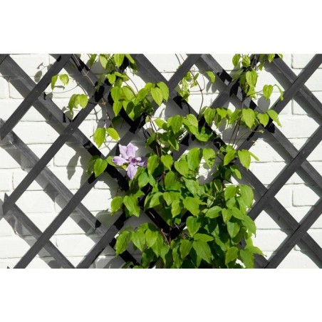 Treillis extensible - NATURE - Bois - 150 x 50 cm - Anthracite - Avec set de fixation