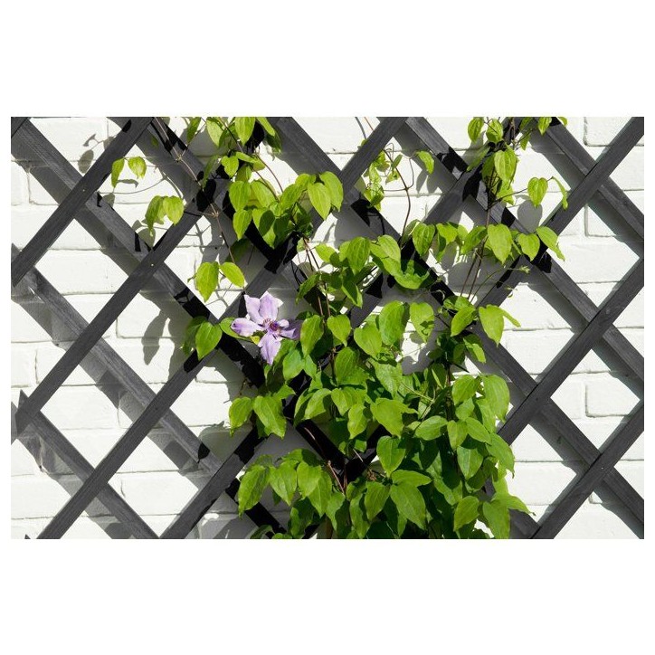 Treillis extensible - NATURE - Bois - 150 x 50 cm - Anthracite - Avec set de fixation Treillis extensible - NATURE - Bois - 150 x 50 cm - Anthracite - Avec set de fixation