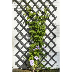 Treillis extensible - NATURE - Bois - 150 x 50 cm - Anthracite - Avec