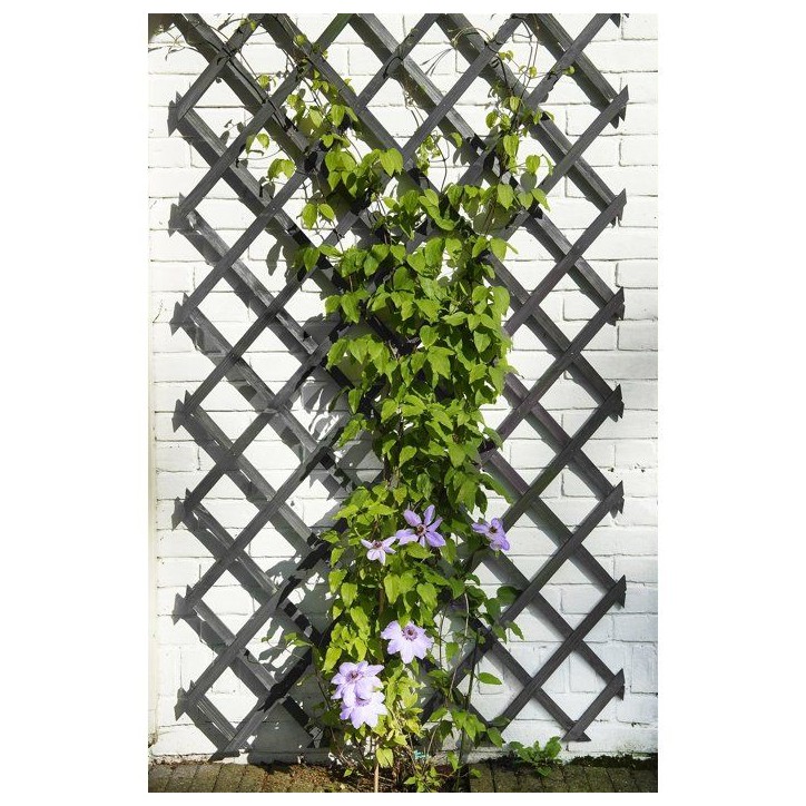 Treillis extensible - NATURE - Bois - 150 x 50 cm - Anthracite - Avec set de fixation Treillis extensible - NATURE - Bois - 150 x 50 cm - Anthracite - Avec set de fixation