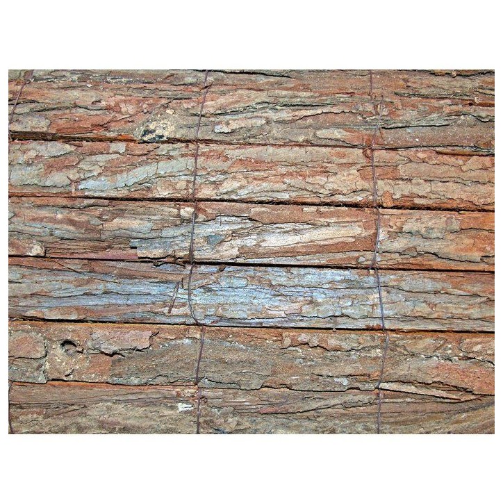 Canisse - NATURE - Écorce naturelle de pin - 3 x 1 m Canisse - NATURE - Écorce naturelle de pin - 3 x 1 m