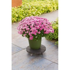 Support de pot a roulettes - NATURE - WPC H7,5 x Ø30 cm - 4 roulettes - Anthracite