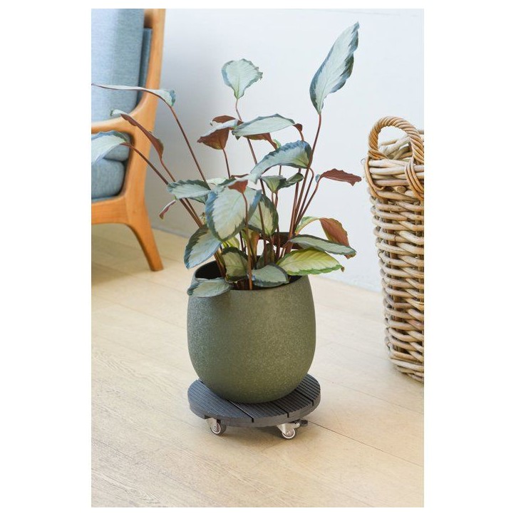 Support de pot a roulettes - NATURE - WPC H7,5 x Ø30 cm - 4 roulettes - Anthracite Support de pot a roulettes - NATURE - WPC H7,5 x Ø30 cm - 4 roulettes - Anthracite