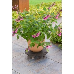 Support de pot a roulettes - NATURE - WPC - H8,6 x Ø38 cm - 4 roulettes - Anthracite