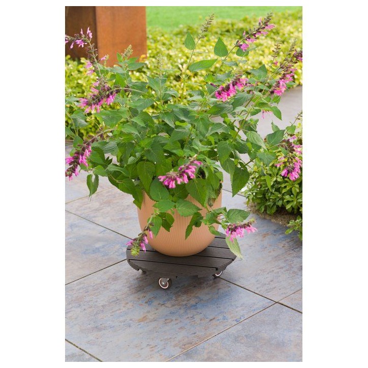 Support de pot a roulettes - NATURE - WPC - H8,6 x Ø38 cm - 4 roulettes - Anthracite Support de pot a roulettes - NATURE - WPC - H8,6 x Ø38 cm - 4 roulettes - Anthracite