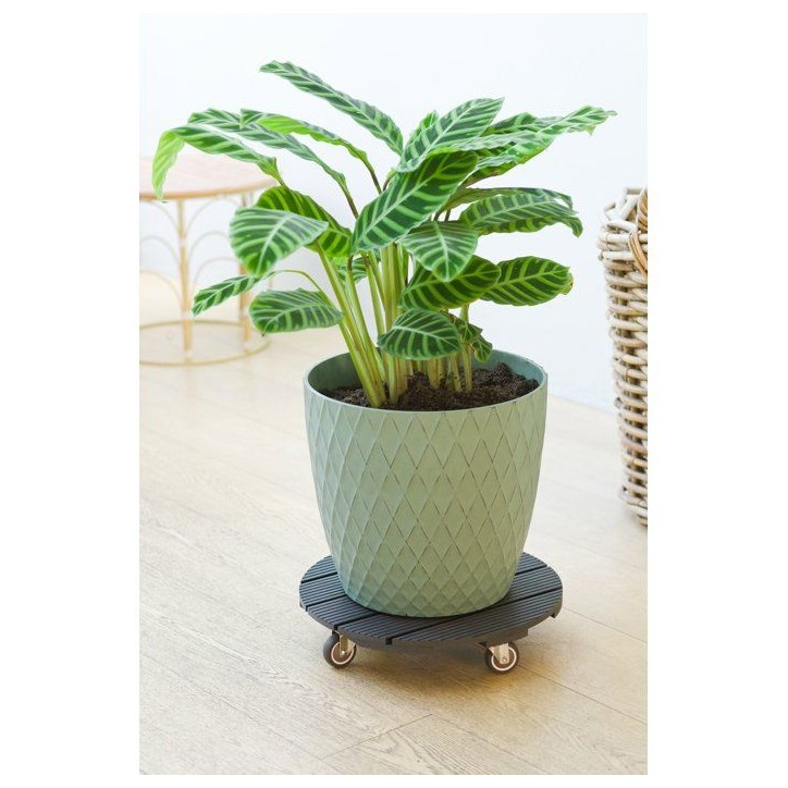 Support de pot a roulettes - NATURE - WPC - H8,6 x Ø38 cm - 4 roulettes - Anthracite Support de pot a roulettes - NATURE - WPC - H8,6 x Ø38 cm - 4 roulettes - Anthracite