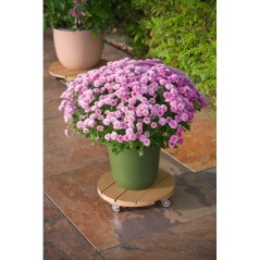 Support de pot a roulettes - NATURE - WPC H7,5 x Ø30 cm - 4 roulettes