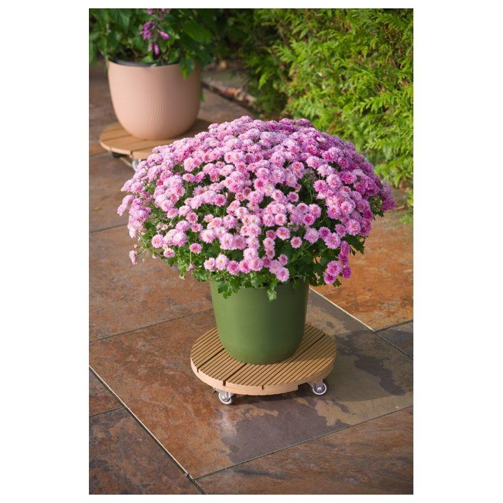 Support de pot a roulettes - NATURE - WPC H7,5 x Ø30 cm - 4 roulettes - Bois Support de pot a roulettes - NATURE - WPC H7,5 x Ø30 cm - 4 roulettes - Bois