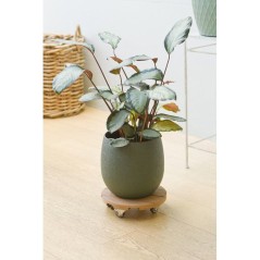 Support de pot a roulettes - NATURE - WPC H7,5 x Ø30 cm - 4 roulettes