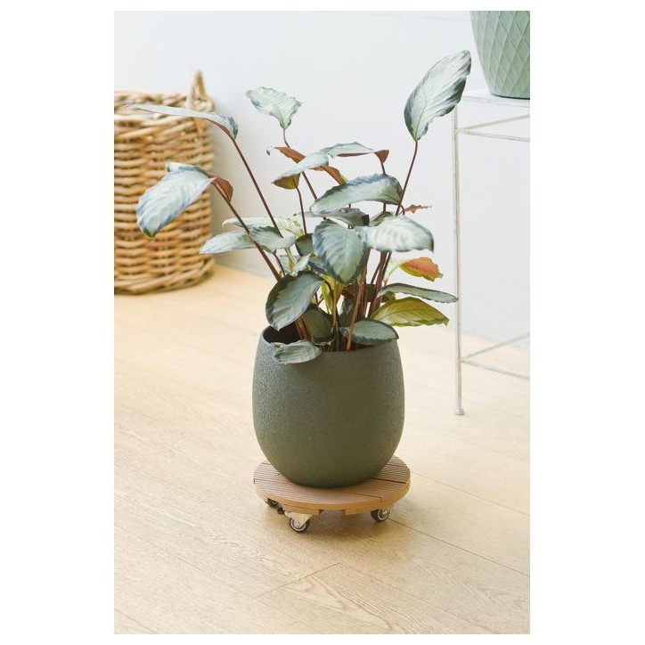 Support de pot a roulettes - NATURE - WPC H7,5 x Ø30 cm - 4 roulettes - Bois Support de pot a roulettes - NATURE - WPC H7,5 x Ø30 cm - 4 roulettes - Bois