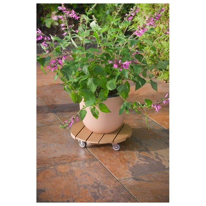 Support de pot a roulettes - NATURE - WPC - H8,6 x Ø38 cm - 4 roulettes - Bois Support de pot a roulettes - NATURE - WPC - H8,6 x Ø38 cm - 4 roulettes - Bois