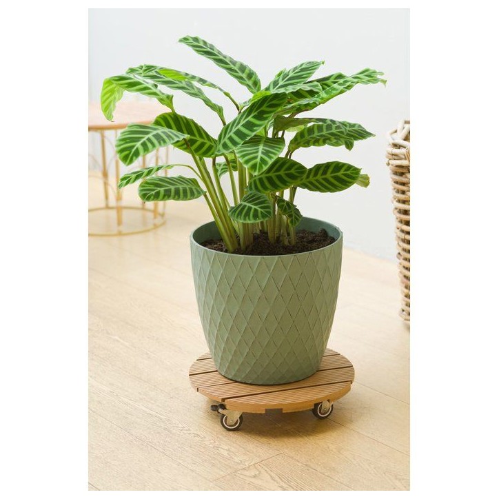 Support de pot a roulettes - NATURE - WPC - H8,6 x Ø38 cm - 4 roulettes - Bois Support de pot a roulettes - NATURE - WPC - H8,6 x Ø38 cm - 4 roulettes - Bois
