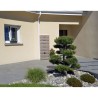 Récupérateur d'eau - BELLI - Dune - 320 litres - Anthracite