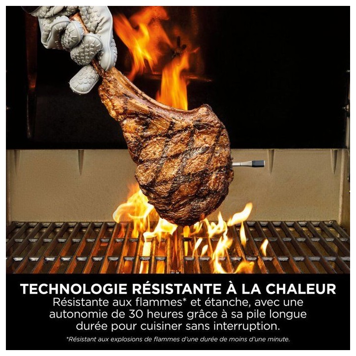 Thermosonde connectée NINJA - WP100EU - ProChef sans fil - Suivi Bluetooth/Wi-Fi - Pour cuisson et grill Thermosonde connectée NINJA - WP100EU - ProChef sans fil - Suivi Bluetooth/Wi-Fi - Pour cuisson et grill