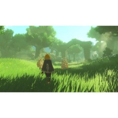 Hyrule Warriors: Les Chroniques du Sceau • Jeu Nintendo Switch 2