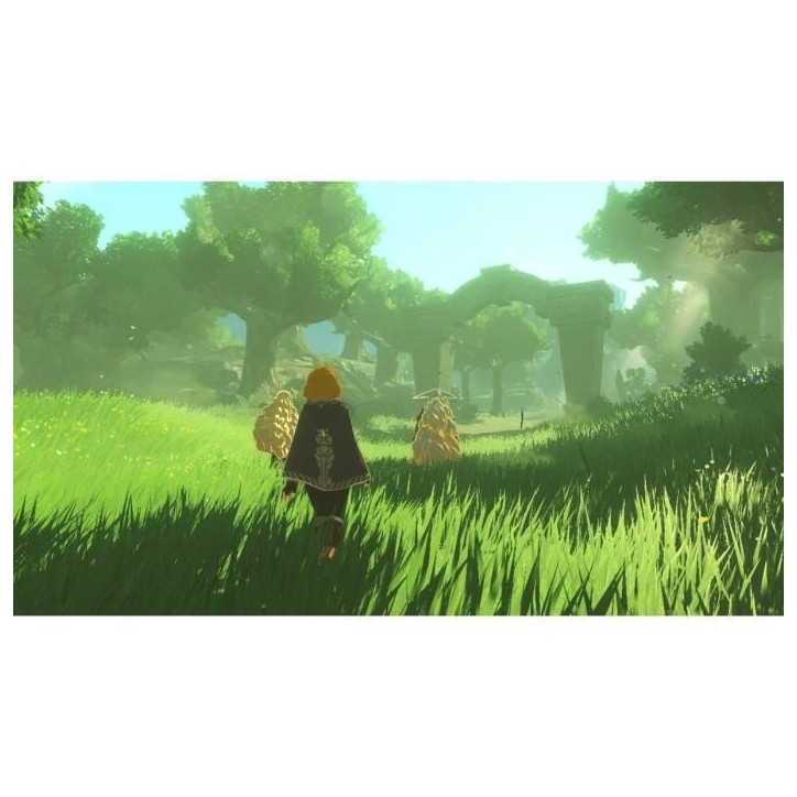 Hyrule Warriors: Les Chroniques du Sceau • Jeu Nintendo Switch 2 Hyrule Warriors: Les Chroniques du Sceau • Jeu Nintendo Switch 2
