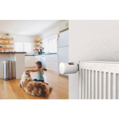 Tete Thermostatique TRV 1.0 et adaptateurs - Delta Dore - TRV 1.0 Adap