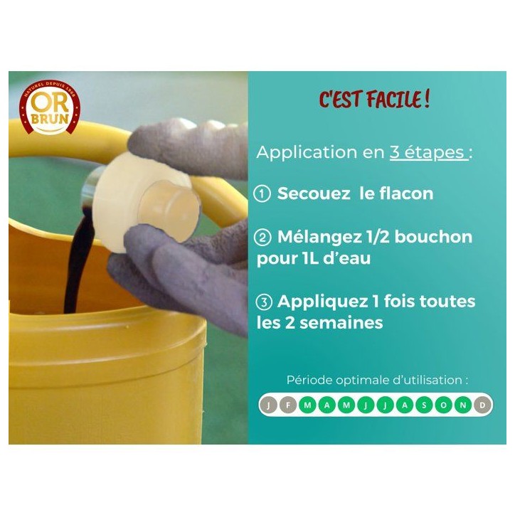 Engrais plantes vertes - OR BRUN - OBRECLPLINTER250 - 250 ml - Favorise la croissance - Fabriqué en France Engrais plantes vertes - OR BRUN - OBRECLPLINTER250 - 250 ml - Favorise la croissance - Fabriqué en France