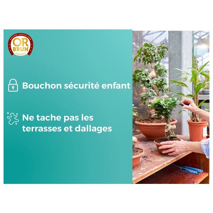 Engrais bonsais - OR BRUN - OBRECLBONSAI250 - 250 ml - Améliore et favorise la croissance - Fabriqué en France Engrais bonsais - OR BRUN - OBRECLBONSAI250 - 250 ml - Améliore et favorise la croissance - Fabriqué en France