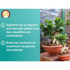 Engrais bonsais - OR BRUN - OBRECLBONSAI250 - 250 ml - Améliore et fa