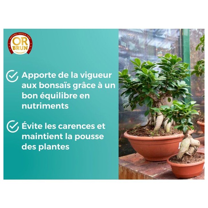 Engrais bonsais - OR BRUN - OBRECLBONSAI250 - 250 ml - Améliore et favorise la croissance - Fabriqué en France Engrais bonsais - OR BRUN - OBRECLBONSAI250 - 250 ml - Améliore et favorise la croissance - Fabriqué en France