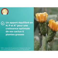 Engrais cactus & plantes grasses - OR BRUN - 250 ml - Enrichit les pla