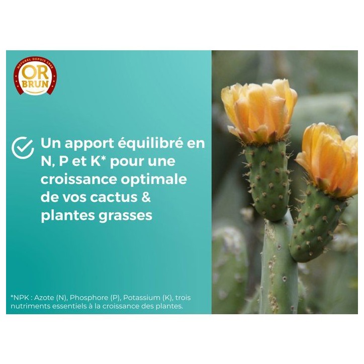 Engrais cactus & plantes grasses - OR BRUN - 250 ml - Enrichit les plantes - Fabriqué en France - OBRECLCACTUS250 Engrais cactus & plantes grasses - OR BRUN - 250 ml - Enrichit les plantes - Fabriqué en France - OBRECLCACTUS250