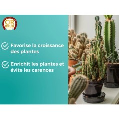 Engrais cactus & plantes grasses - OR BRUN - 250 ml - Enrichit les pla