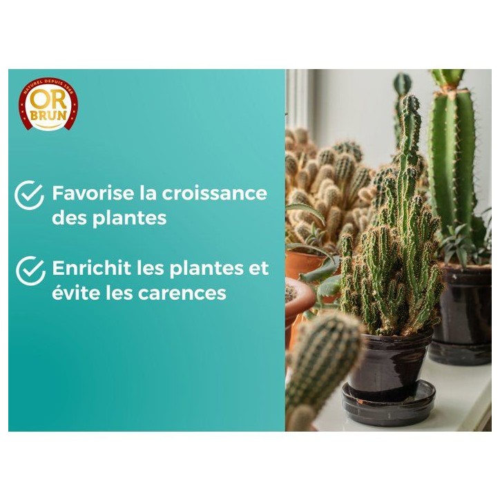 Engrais cactus & plantes grasses - OR BRUN - 250 ml - Enrichit les plantes - Fabriqué en France - OBRECLCACTUS250 Engrais cactus & plantes grasses - OR BRUN - 250 ml - Enrichit les plantes - Fabriqué en France - OBRECLCACTUS250