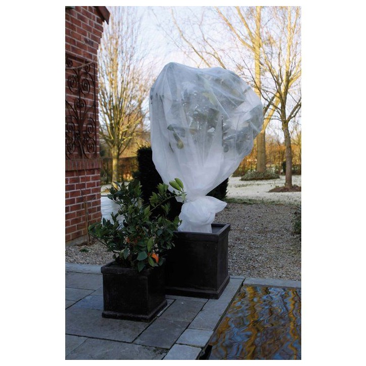 Voile d'hivernage - NATURE - 5 x 2 m - Blanc - 30 g/m² Voile d'hivernage - NATURE - 5 x 2 m - Blanc - 30 g/m²