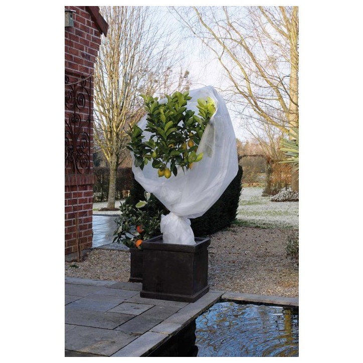 Voile d'hivernage - NATURE - 5 x 2 m - Blanc - 30 g/m² Voile d'hivernage - NATURE - 5 x 2 m - Blanc - 30 g/m²