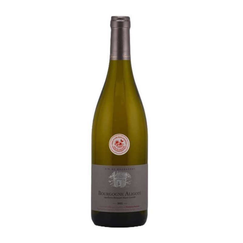 Domaine Pansiot 2023 Bourgogne Aligoté - Vin blanc de Bourgogne