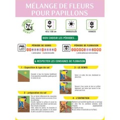 Mélange de fleurs pour papillons - BHS - 230 g - 39 variétés vivace