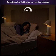 PHILIPS lampe connectée hue w