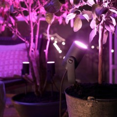 Projecteur de jardin - PHILIPS HUE - Lily - Lumiere blanche et coloré
