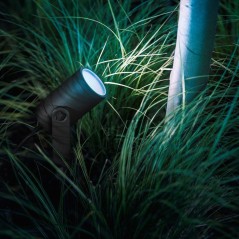 Projecteur de jardin - PHILIPS HUE - Lily - Lumiere blanche et coloré