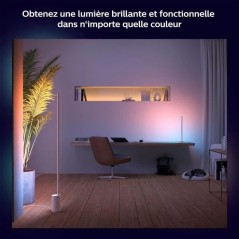 Philips Hue White and Color Ambiance, Lampe a poser Gradient Signe Bla