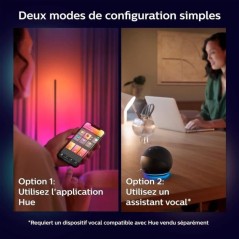 Philips Hue White and Color Ambiance, Lampe a poser Gradient Signe Bla