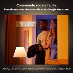 Philips Hue White & Color Ambiance, lampe Bloom, 4eme génération - B