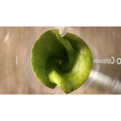 Blender PHILIPS - HR2500/00 Pro Blend - 350 W - bol 0,6 L sans BPA - B