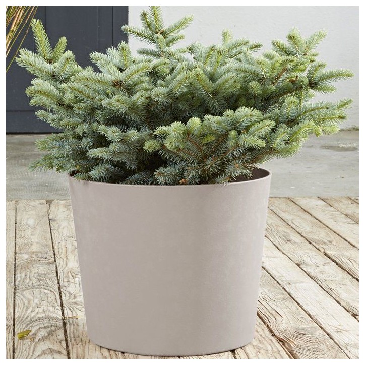 Pot de fleurs Conique Ø 40 cm - EDA - Element - 30 L - Intérieur / Extérieur - Ø 39,1 x H. 32 cm - Calcaire Pot de fleurs Conique Ø 40 cm - EDA - Element - 30 L - Intérieur / Extérieur - Ø 39,1 x H. 32 cm - Calcaire