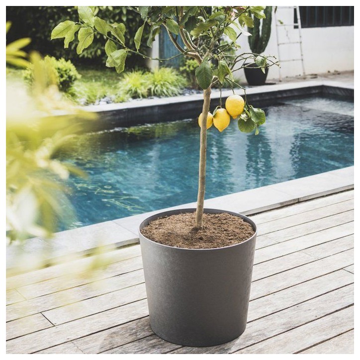 Pot de fleurs Conique Ø 50 cm - EDA - Element - 62,2 L - Intérieur / Extérieur - Ø 49,5 x H. 42 cm - Gris Anthracite