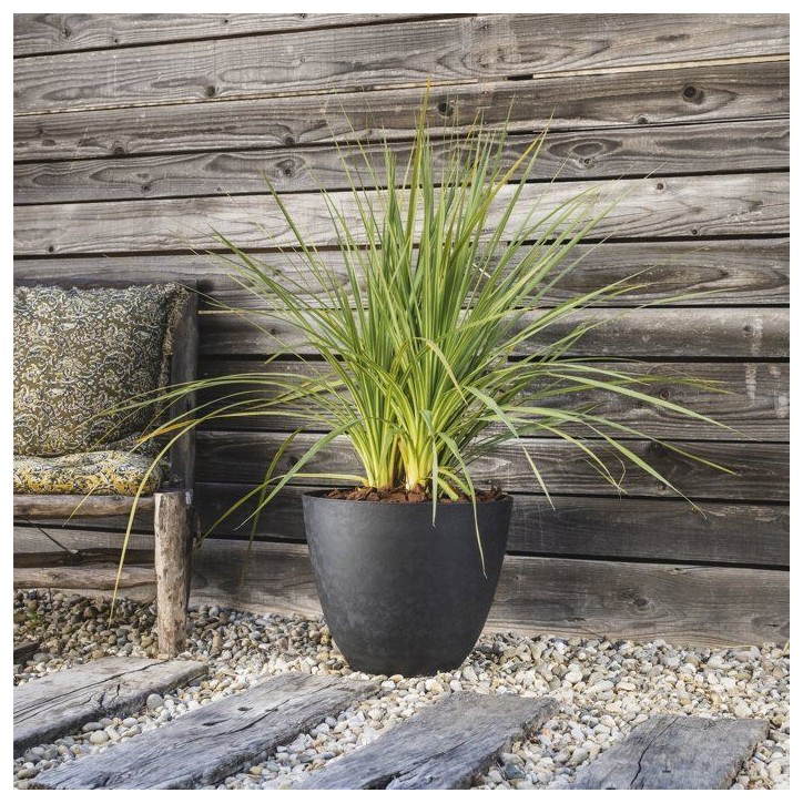 Pot de fleurs Rond Ø 40 cm - EDA - Element - 26,2 L - Intérieur / Extérieur - Ø 39,4 x H. 31,6 cm - Gris Anthracite Pot de fleurs Rond Ø 40 cm - EDA - Element - 26,2 L - Intérieur / Extérieur - Ø 39,4 x H. 31,6 cm - Gris Anthracite